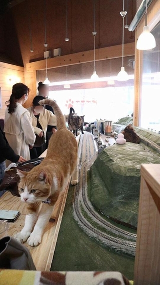 さて人間の相手でもするか