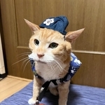 20歳＆ウチの子20年を迎えた安兵衛くん（画像提供：ここべさん）