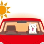 春も「クルマの車内温度の上昇」に注意が必要です※画像はイメージです（hiro/stock.adobe.com）