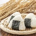 SNSで話題の「おにぎりのプラモデル」とは？（むりかもめさん提供）