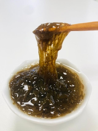 フコイダンという成分を含み免疫⼒をアップのもずく（広瀬教授提供）