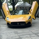 イタリアのスポーツカー「マセラティ」のガルウィングのドアと同じポーズ？（これさん提供）