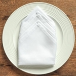 食べ終わったとき「ナフキンをどう置くのが正解かわからない…」と困ってしまうことも※画像はイメージです（kinako/stock.adobe.com）