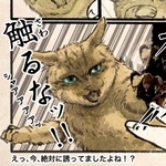 触ったら急にキレるキジネコ様　©Uguisu Utako