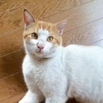 完全に自分ちじゃんよ…（ハナさん提供）