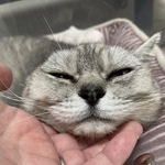 かわいい甘え顔