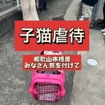 和歌山市内で子猫のバラバラ死体が見つかったという（猫の道草さん提供、Instagramよりキャプチャ撮影）
