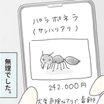 なんと24万2000円という高額なアリ（まめねこさん提供）