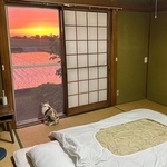 何を思っているのかな…？（画像提供：なつめさん）