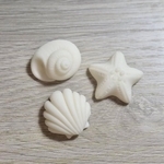 粘土でつくられた貝殻が話題に（画像提供：ピヨノメさん）