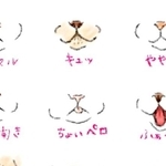 『猫の口元9選』。あなたの猫はどの口元になる？（画像提供：kaoruさん）