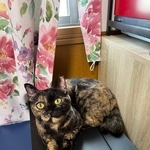 意外な一面も？臆病で可愛いくるみちゃん（飼い主さん提供）