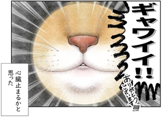 ルーペでち～ちゃんの鼻を見た時の様子　（も～さんの提供）