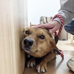 「私ならいませんよ」
