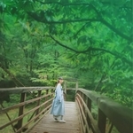 幻影を演じた西野七瀬