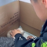 ナナちゃんを迎え入れた日の息子さん／江口 めぐみさん（am_nana77）提供