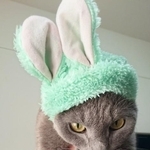 元気な頃は、かわいいコスプレ姿も見せてくれた