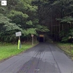 森の中に続く道。静岡市の谷津隧道の西側です(C) Google ストリートビュー