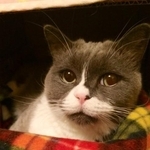 闘病中もたくさんの思い出を積み重ねた