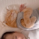 寄り添って寝息を立てるマルとひなたん／ひなまるchannelさん（@hinamaru_channel）提供