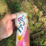 こちらはグレープ（me_young_sitterさん提供）