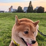 「茶太郎になりました」というひと言とともにポストされていた写真（画像提供：lovelove_taroさん）