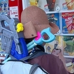 この後ろ姿は…！？／すずこさん（@suzukopopopopo）提供럫を一部トリミングしています