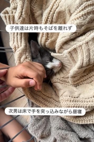 危篤の日。子どもたちはの片時もパンちゃんそばを離れず（「パンちゃんママ」さん提供、Instagramよりキャプチャ撮影）