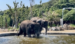 水しぶきもでかい！