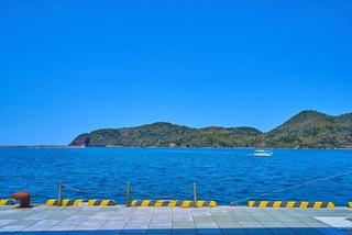 「君は日本海にいたら行けないはずの魚では…？」。日本海で捕獲された珍客とは！？※画像はイメージです（Q2PHOTOAS/stock.adobe.com）