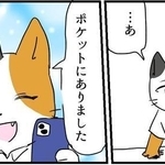 探していたスマートフォンはネコ自身のポケットの中に…（ろふさんの提供）