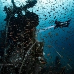 水深80メートルの「大深度」撮影：清水淳