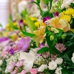 お葬式のマナーの参考に※画像はイメージです（nukopic/stock.adobe.com）