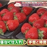 イチゴのサイズ関係なく仕入れ、農家の負担を減らす工夫をしている©テレビ大阪