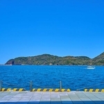 「君は日本海にいたら行けないはずの魚では…？」。日本海で捕獲された珍客とは！？※画像はイメージです（Q2PHOTOAS/stock.adobe.com）