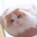 １番目力があった、元気だった頃。たくさんの思い出を家族で作ってきた