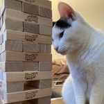 ジェンがガ倒れた瞬間の猫さんの表情がXで話題に①（こげめさん提供）