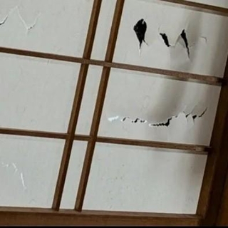 「まるでステンドグラス」息子が破ってしまった障子が大変身！？　画家の母の