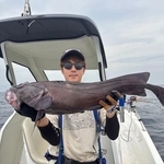 でかい！キタノクロダラが釣れました