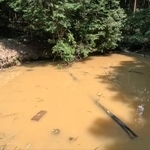 外来種アメリカザリガニに支配され、生物が少ない防除前の池／コミヤさん（@ariake538）提供