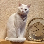 立派に成長した現在の虹来ちゃん