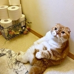 パパのトイレにお供するぽんたくん（画像提供：ぽんた師匠さん）