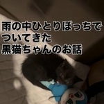 コキンちゃんに寄り添って眠ったという、保護した黒猫さん（「ねぎごま」さん提供、Instagramよりキャプチャ撮影）
