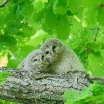 むじゃきな様子が可愛らしい（画像提供：yupi_hokkaidoさん）