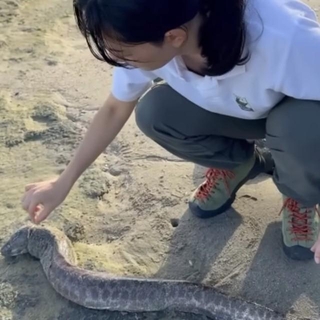 砂浜で遭遇したのは…／投稿主さん提供
