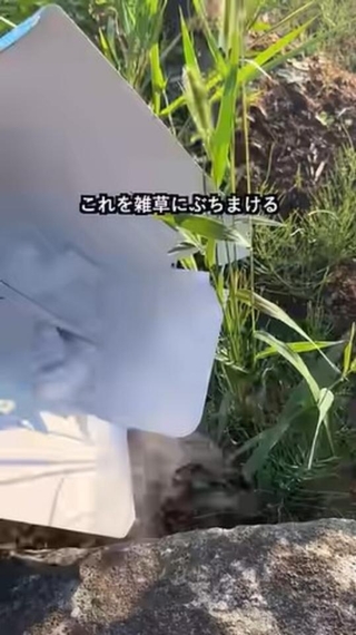 「ドライアイスで雑草対策いいぞ」という意見を参考に実験！／あきさん（@aki_freelance_home）提供