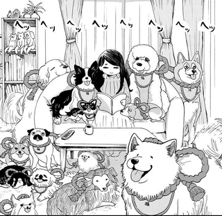 自宅は狛犬だらけ（安彦晴さん提供）