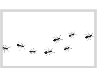 「ティッシュの箱にいつの間にかアリが集まっていた…」そんな経験はありませんか？※画像はイメージです（Gaaz Design/stock.adobe.com）