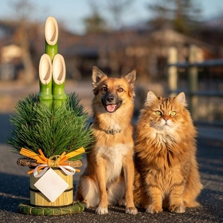 愛犬、愛猫と過ごすお正月　※この画像はイメージです／Adobe Fireflyで作成しています