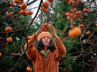 柿本崇誌（かきのき・たかし）さんは本名とのこと。まさに柿に選ばれし人